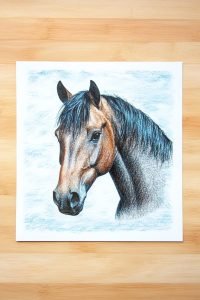 25 Colored Pencil Horse Drawing Ideas To Inspire Your Next Artwork