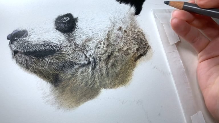 Pencil Example How to Create Realistic Colored Pencil Drawings: Top Tips & Techniques